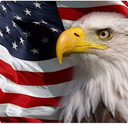 Celebrate American Spirit - Express your patriotism everywhere